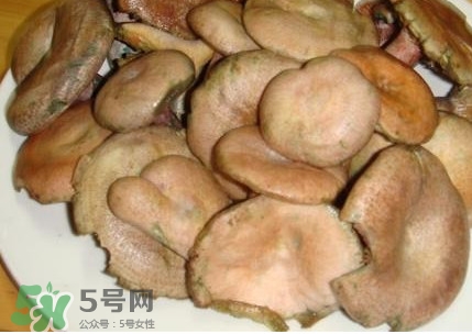 樅樹菌孕婦可以吃嗎？孕婦能吃樅樹菌嗎