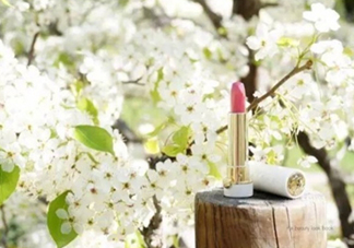 tatcha梅子粉好看嗎？tatcha白管口紅梅子粉試色