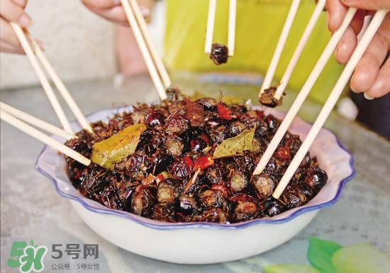 知了猴孕婦可以吃嗎？孕婦能吃知了猴嗎？