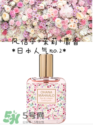 ohana mahaalo香水是什么牌子？ohana mahaalo在哪買？