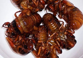 知了猴多少錢一個？油炸知了猴多少錢一盤？