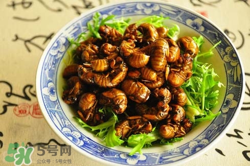 金蟬多少錢一斤？金蟬多少錢一斤2017？