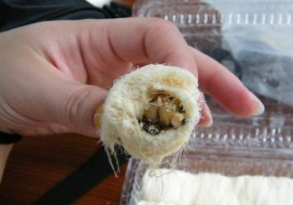 龍須糖是哪里的特產(chǎn)？龍須糖為什么叫龍須糖