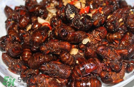 油炸知了猴幾分鐘？油炸知了猴怎么做好吃？