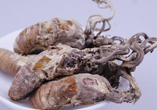 金蟬花多少錢一斤？2017金蟬花價格