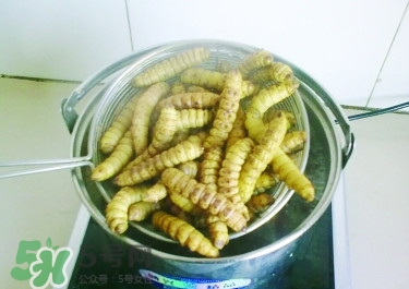 豆丹做菜前怎么處理干凈？豆丹怎么養(yǎng)殖