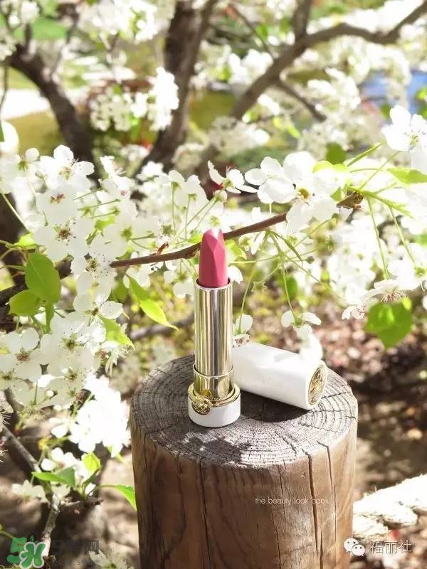 tatcha梅子粉好看嗎？tatcha白管口紅梅子粉試色