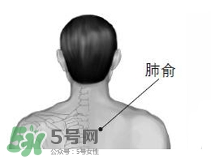 三伏貼能治過敏性鼻炎嗎？三伏貼治過敏性鼻炎貼哪里？