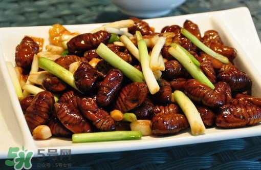 蟬蛹多少錢一斤？野生蟬蛹多少錢一斤