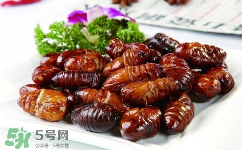 蟬蛹可以人工養(yǎng)殖嗎？蟬蛹的養(yǎng)殖方法