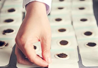 貼三伏貼掛什么科？三伏貼掛什么號(hào)？