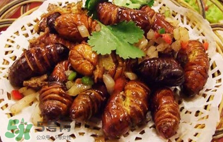 蟬蛹可以多吃嗎？蟬蛹多吃會(huì)怎么樣？