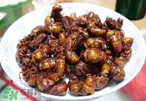 孕婦可以吃蟬蛹嗎？懷孕吃蟬蛹有沒有副作用