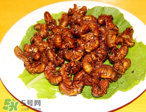 知了猴為什么要用鹽水泡？知了猴用鹽水泡多久？