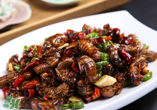 知了猴為什么要用鹽水泡？知了猴用鹽水泡多久？