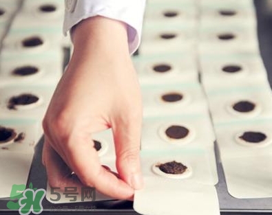 貼三伏貼可以吃魚(yú)嗎？貼三伏貼可以吃什么魚(yú)？