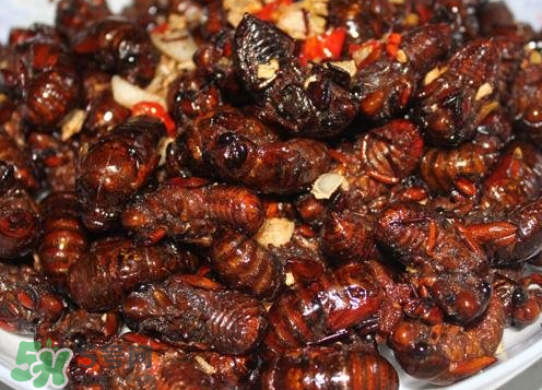 知了猴能淹死嗎？知了猴哪個部位不能吃？