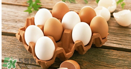 貼三伏貼可以吃雞蛋嗎？貼三伏貼能不能吃雞蛋