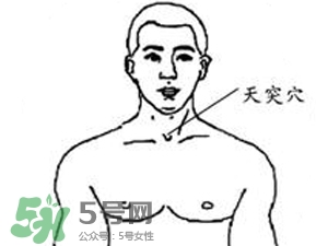 三伏貼能治過敏性鼻炎嗎？三伏貼治過敏性鼻炎貼哪里？