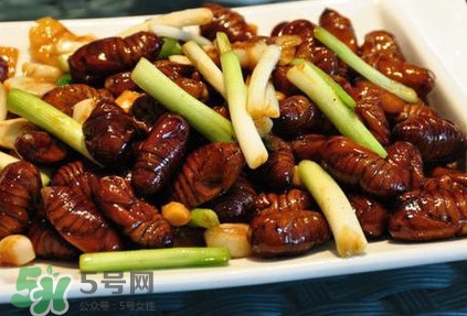 孕婦可以吃蟬蛹嗎？懷孕吃蟬蛹有沒有副作用