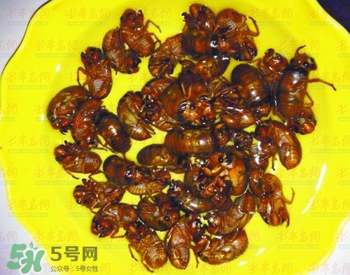 知了猴能淹死嗎？知了猴哪個部位不能吃？