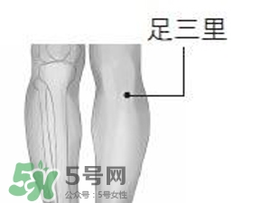 三伏貼能治過敏性鼻炎嗎？三伏貼治過敏性鼻炎貼哪里？