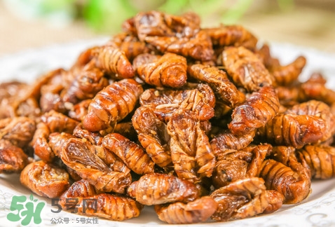 蟬蛹可以多吃嗎？蟬蛹多吃會(huì)怎么樣？
