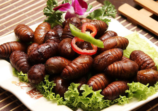 知了猴能淹死嗎？知了猴哪個部位不能吃？