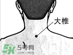 三伏貼能治過敏性鼻炎嗎？三伏貼治過敏性鼻炎貼哪里？
