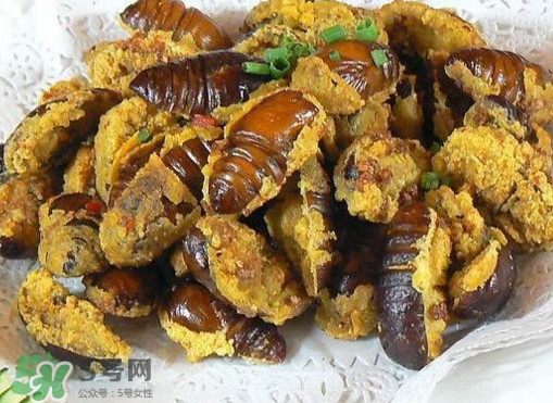 水煮蟬蛹怎么做？蟬蛹煮多久可以熟？