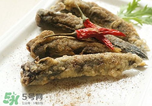 彈涂魚是兩棲動物嗎？彈涂魚營養(yǎng)價值有哪些