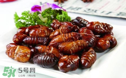 蟬蛹里面黑色的能吃嗎？蟬蛹是怎么形成的