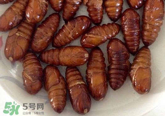 蟬蛹吃什么部位？蟬蛹都有哪些營(yíng)養(yǎng)價(jià)值