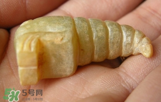 蟬蛹能吃嗎？蟬蛹怎么做好吃