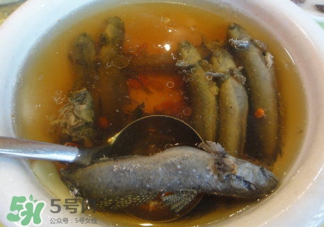 跳跳魚多少錢一斤？跳跳魚是淡水魚嗎？