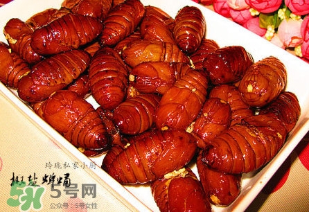 蟬蛹有寄生蟲嗎？蟬蛹有毒嗎