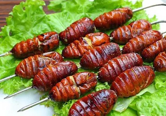 蟬蛹怎么處理？蟬蛹怎么保存