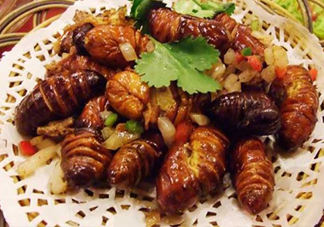 蟬蛹可以保存多長(zhǎng)時(shí)間？蟬蛹冰凍起來(lái)能保存多久