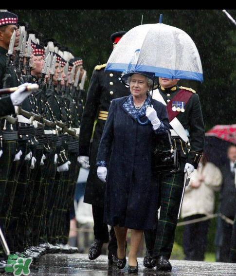 fulton雨傘多少錢？富爾頓雨傘價(jià)格