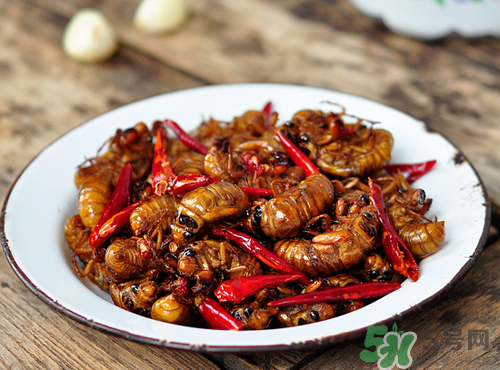 知了猴吃多了好不好？知了猴吃多了會怎么樣？