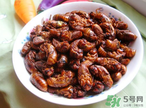 知了猴吃多了好不好？知了猴吃多了會怎么樣？