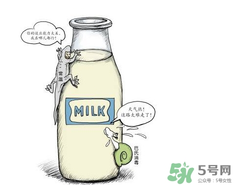 巴氏奶可以加熱嗎？巴氏奶常溫能放多久