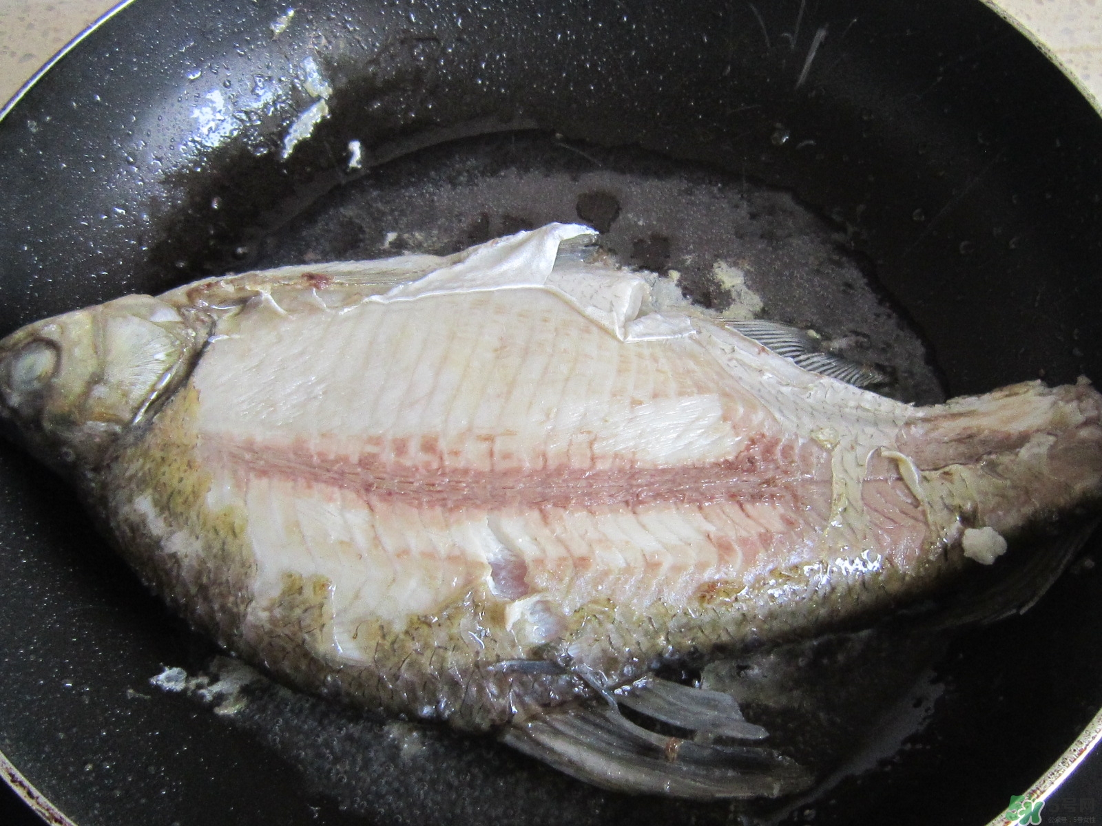 三伏灸可以吃魚嗎？三伏灸可以吃什么魚？