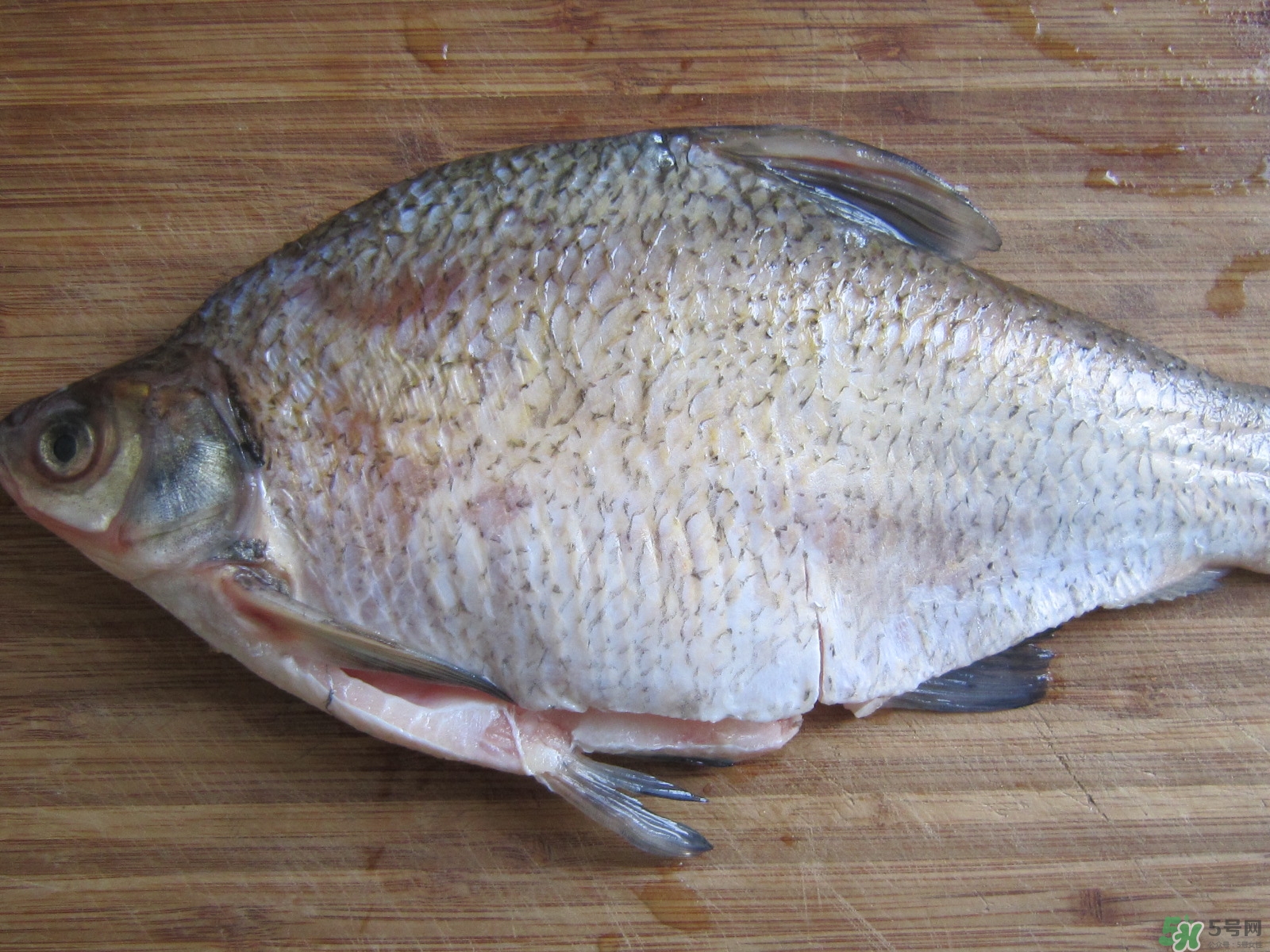 三伏灸可以吃魚嗎？三伏灸可以吃什么魚？