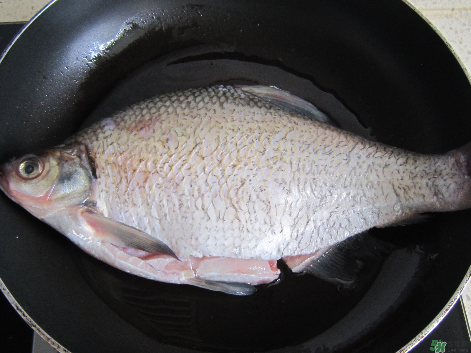 三伏灸可以吃魚嗎？三伏灸可以吃什么魚？