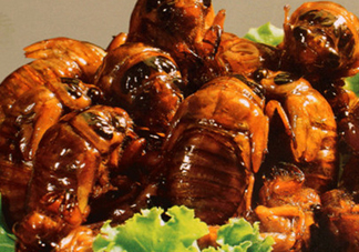 吃知了猴有什么好處？吃知了猴的好處與壞處