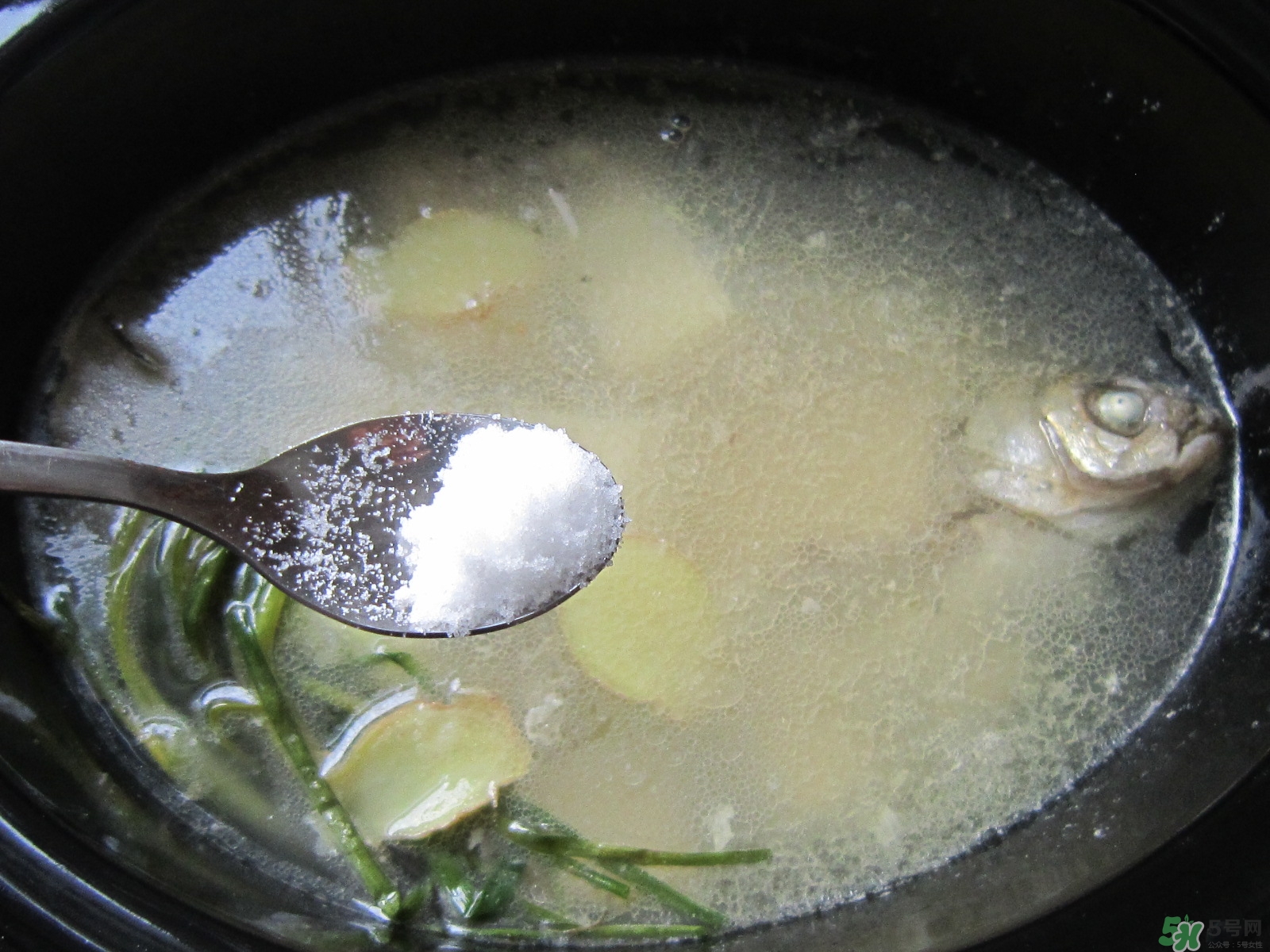 三伏灸可以吃魚嗎？三伏灸可以吃什么魚？