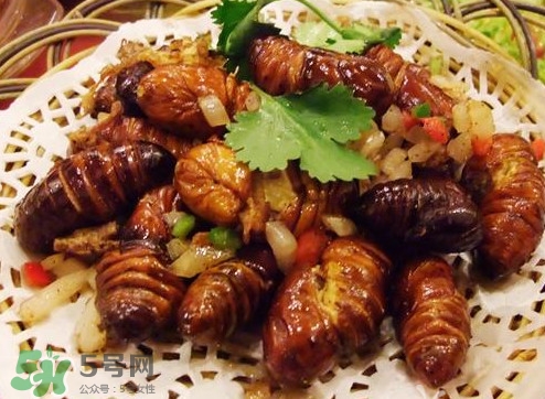 幼蟬猴怎么做好吃？幼蟬猴有什么營(yíng)養(yǎng)價(jià)值