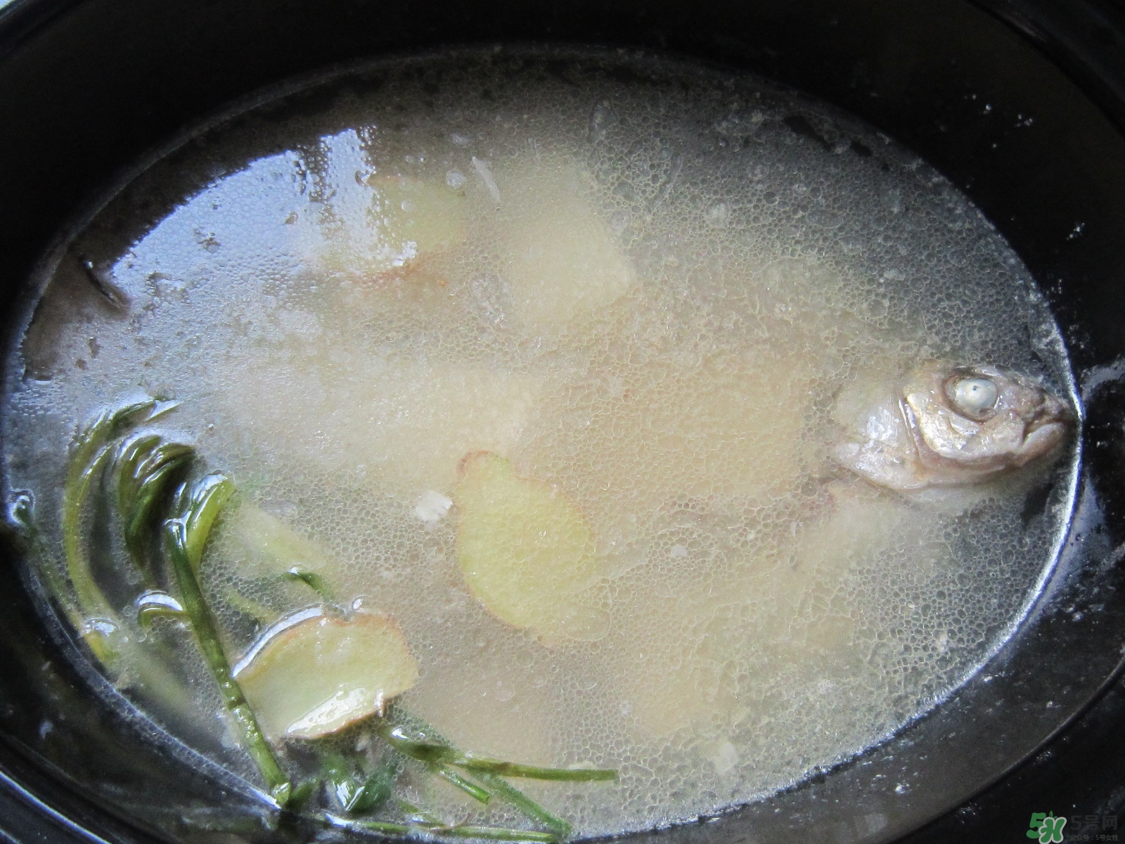 三伏灸可以吃魚嗎？三伏灸可以吃什么魚？