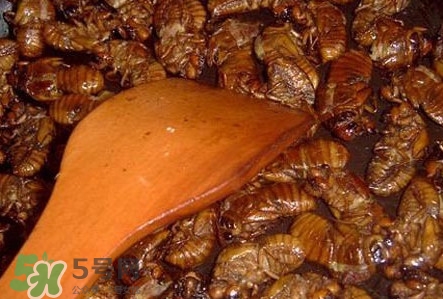 幼蟬猴孕婦可以吃嗎？孕婦吃幼蟬猴有什么好處